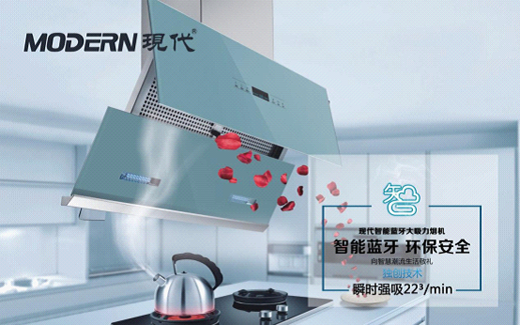 品質現代  領跑“十大廚衛電器品牌”